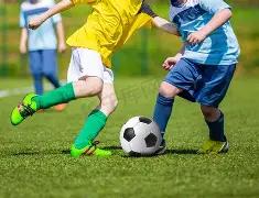 多特,横扫沙尔克,哈兰德庆胜,凤凰彩票会员登录入口,Phoenix,Lottery凤凰彩票官网,凤凰彩票Phoenix,Lottery