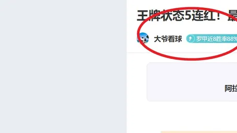 老鹰尼克斯G4分析：老鹰能否赢得赛点